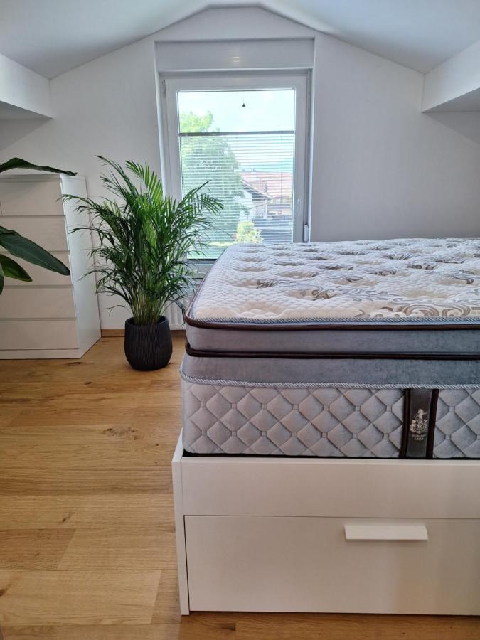 Guesthouse Flower Ljubljana Eksteriør billede