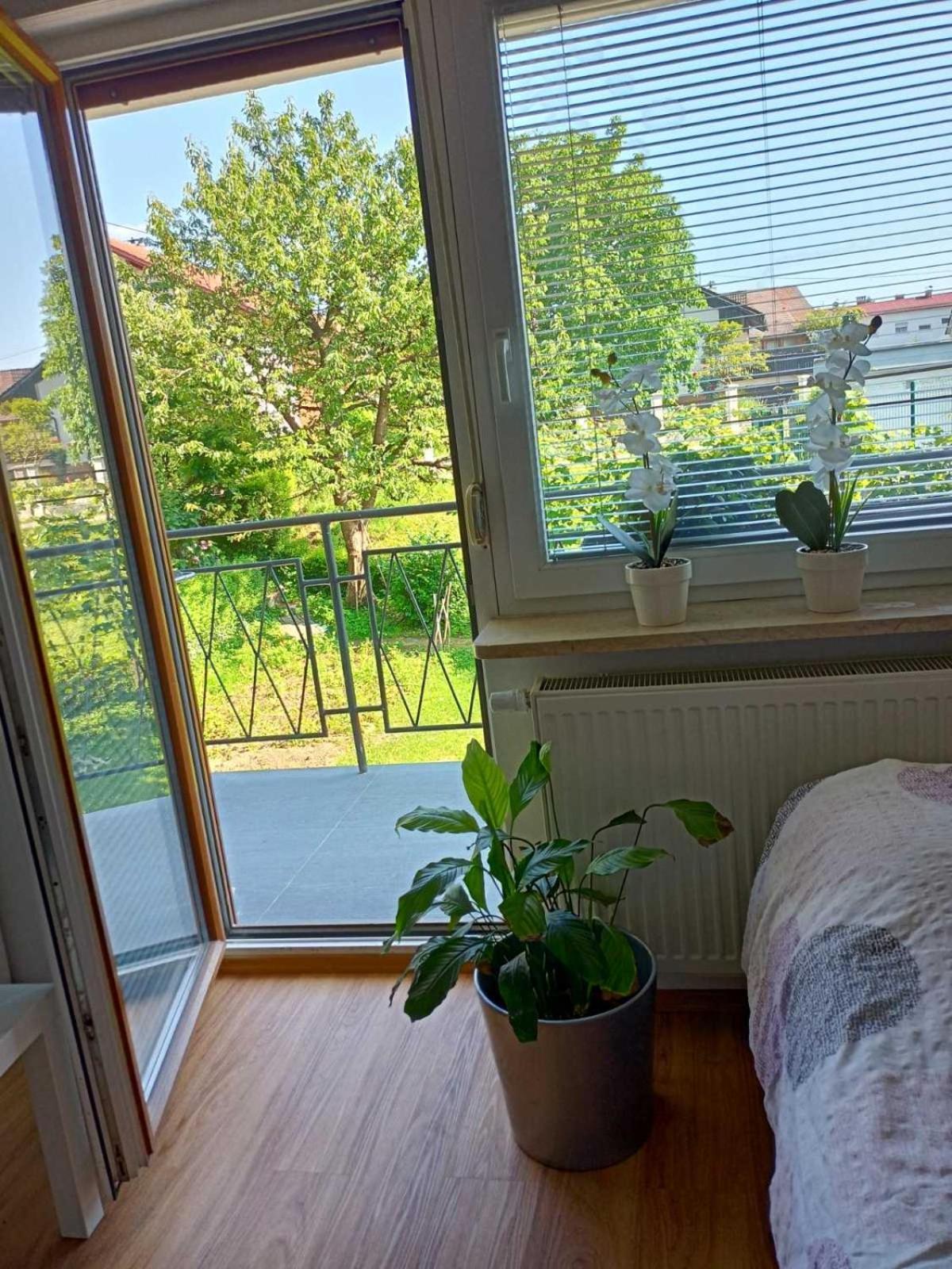 Guesthouse Flower Ljubljana Eksteriør billede
